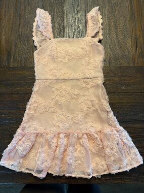 GB girls Blush Pink Lace Floral Ruffle Dress